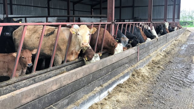 Having all the essentials ready for the calving season