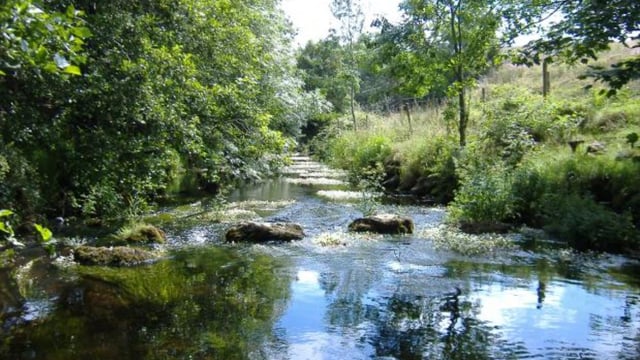 River trust offers 75% grant to farmers in Ballinderry catchment