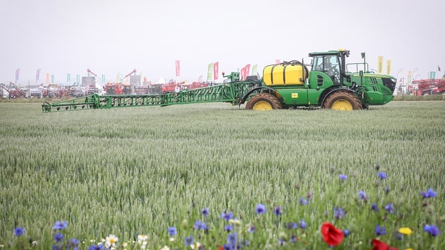 Free early bird tickets on offer for Cereals 2021