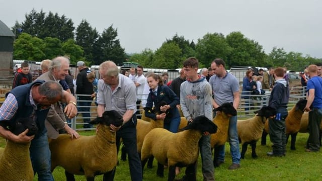 Ballymoney Show becomes the first of NI’s summer shows to cancel for 2021
