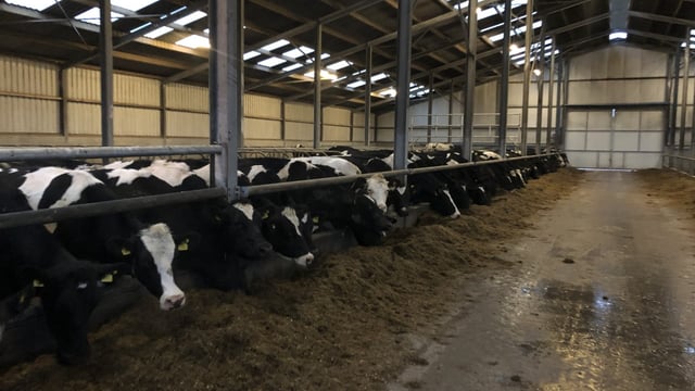Winter milk: Reviewing late season feeding