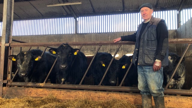 Beef Focus: Sticking with traditional suckler breeding in Co. Cavan