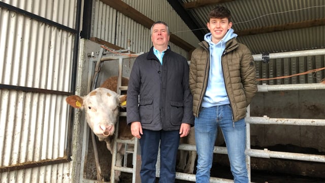 Beef Focus: Sourcing and handling AI bulls at Coney Island Genetics