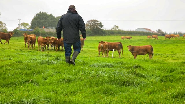 LEAF appoints new demonstration farm