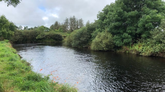 NI’s independent Environmental Protection Agency stalled until next mandate