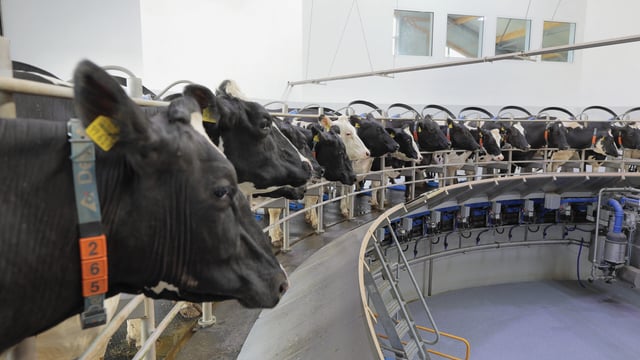 DeLaval launches ‘Think Big’ initiative for dairy farmers looking to expand