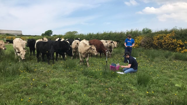 Duchy College awarded £1.2 million to spearhead net zero farming project