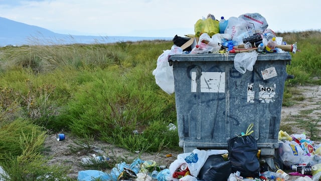 BVA warns the public of the impact litter has on animal health