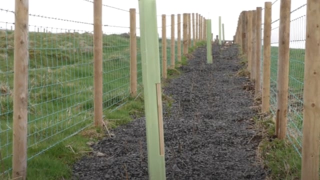 Could you be one of NI’s first Environmental Technology Farms?