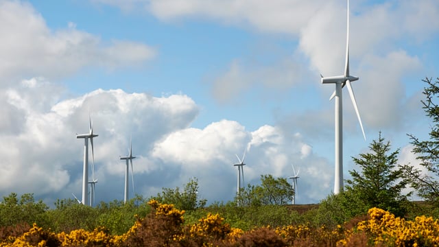 Arla Foods to test the feasibility of using biochar commercially in agriculture