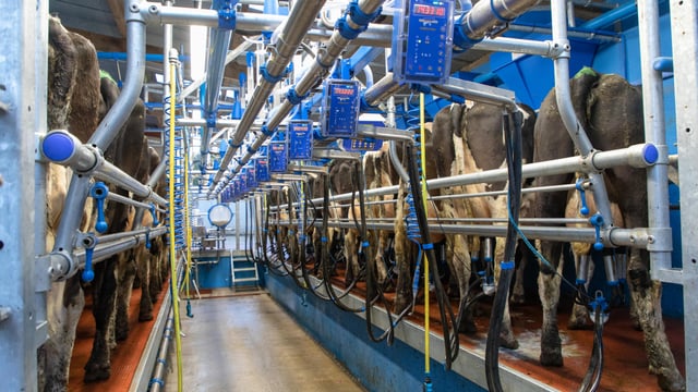 Muller and First Milk reveal increase in milk prices