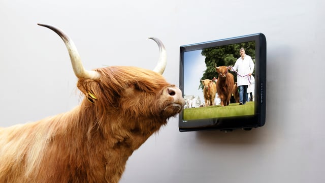 RHASS prepares for ‘behind closed doors’ Royal Highland Showcase