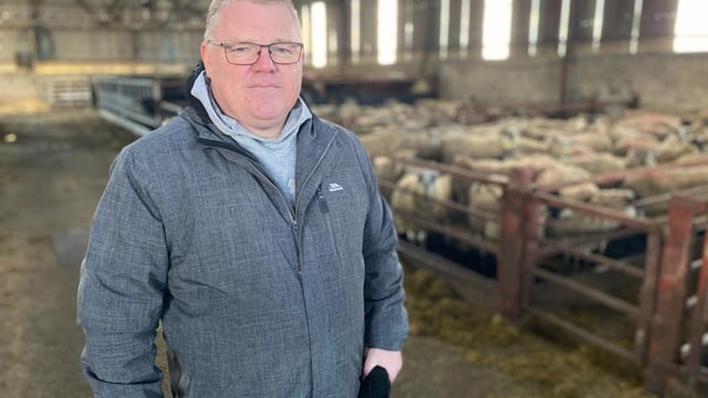 Protocol has opened the door for all-island PGI beef status – McAleer