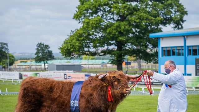 Royal Highland Showcase receives over 270,000 views across 7 days