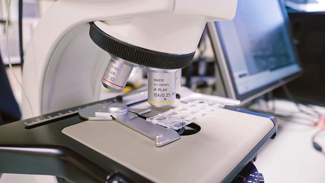 APHA seeks lead animal scientist