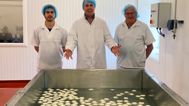 The Buffalo Farm starts production on Scotland’s first buffalo mozzarella