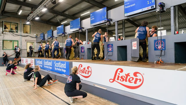 RHASS announces new sponsor for Sheep Shearing World Championships