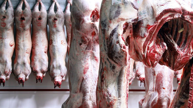 NSA raises concerns over availability and capacity of UK abattoirs