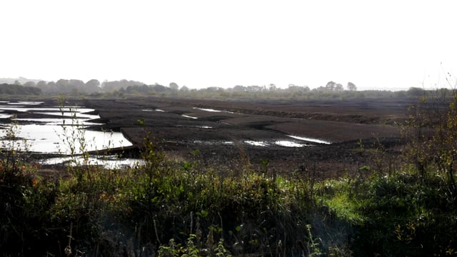 NI peatland strategy proposes payments for bog restoration