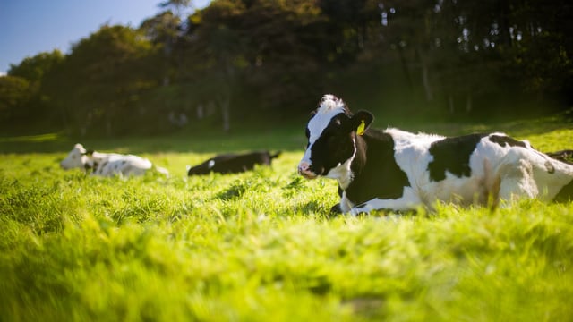 Land use change offers opportunity – but don’t lose control – CAAV