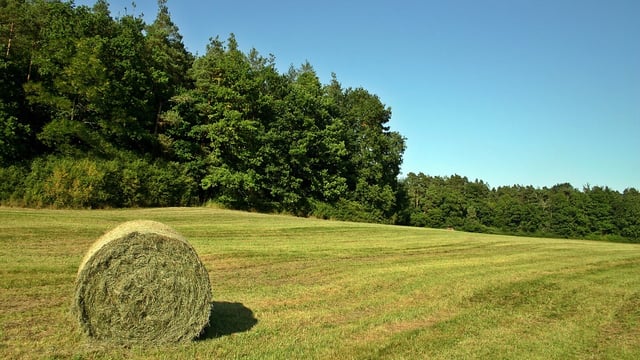 Hay fires: Farmers urged to ‘keep an eye’ on freshly baled hay