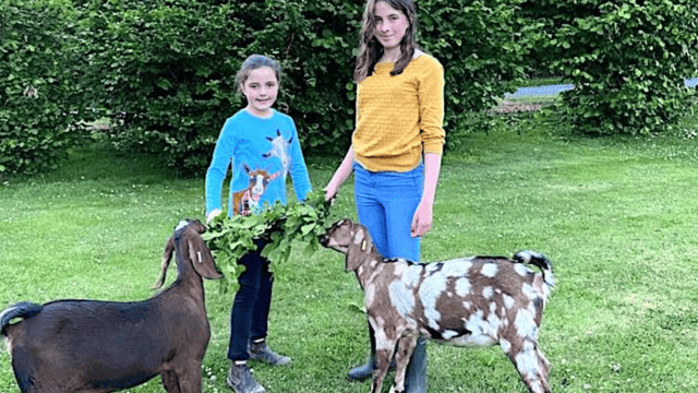 What’s planned for 2021 Virtual Farm Weekend?