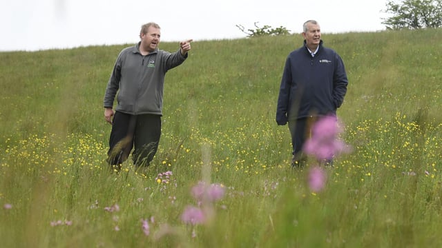 NI’s second Climate Change Bill passes first stage at Stormont