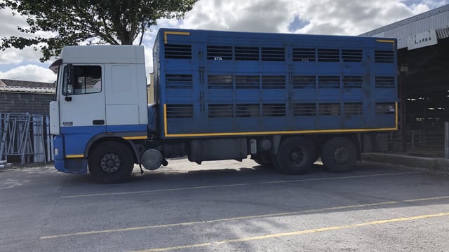 Exports of sheep for direct slaughter from NI to the ROI continues to fall