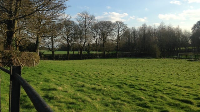 Multi-million pound boost for green jobs and nature recovery