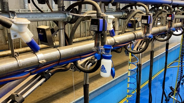NI dairy industry would have to ‘revert to 1946 levels’ to meet net-zero