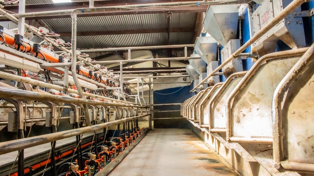 GDT sees slight lift for first rise in 9 auctions
