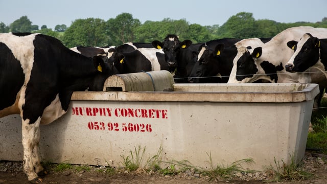 Testing the quality of your farm’s water supply