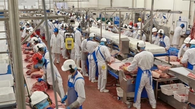 Rabobank: Argentina making waves on global beef market