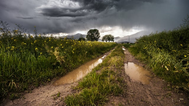Thunderstorm warnings issued with risk of lightning and hail