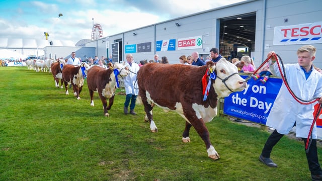 2021 Balmoral Show attendance ‘around two-thirds’ of normal turn-out