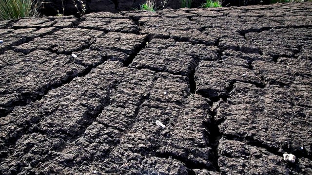 New government investment for lowland peat soils