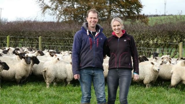 Fancy becoming one of NI’s new Sheep Technology Demonstration Farms?