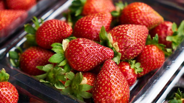 Strawberry research farm to play role in tackling food production issues