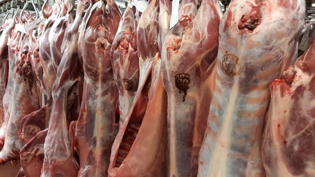 British sheepmeat mislabeled as Irish – Carthy