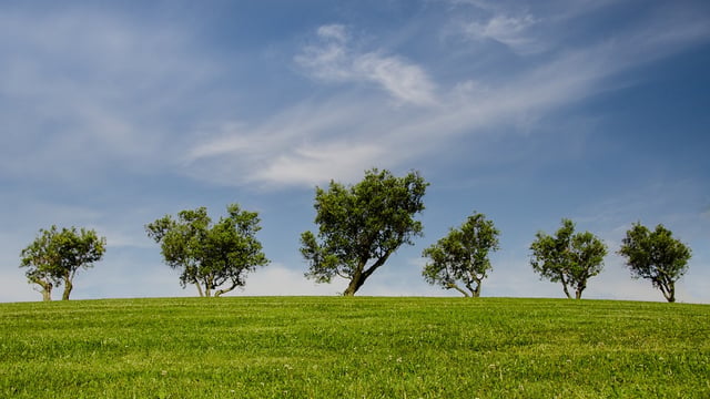 £47m to address critical environmental challenges facing the UK