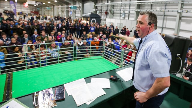 Entries open for 2021 Premier Beef and Lamb Championships