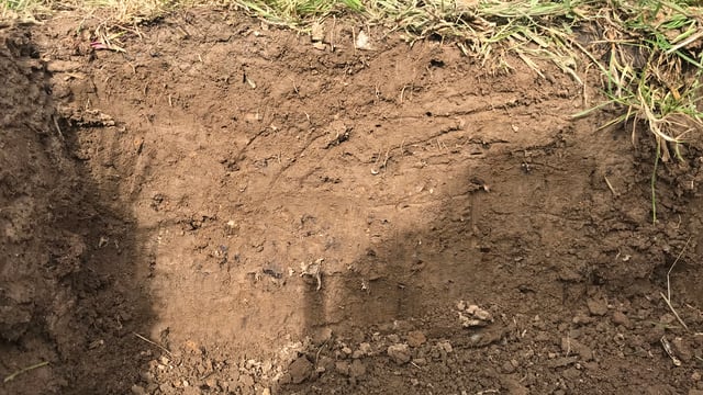 AgriSearch welcomes new NI Soil Nutrient Scheme