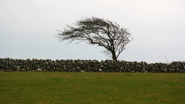 Preparing your farm for Storm Barra
