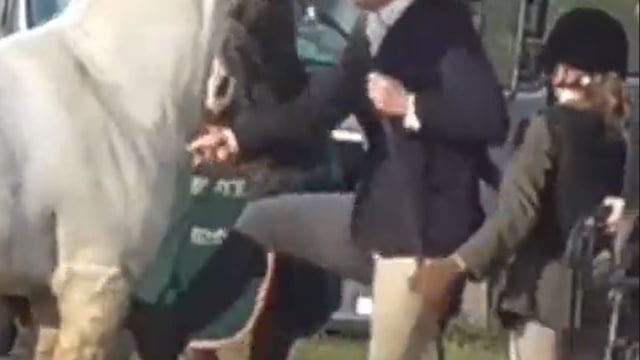 Video: Woman caught kicking and punching horse