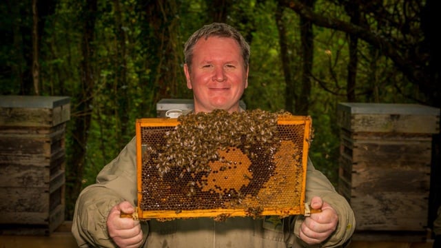 Prestigious sustainability award is won by a Welsh bee farm