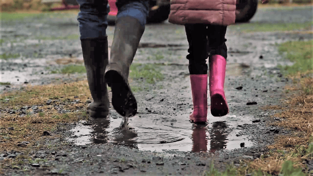 HSE urges farm families to be safe this half-term