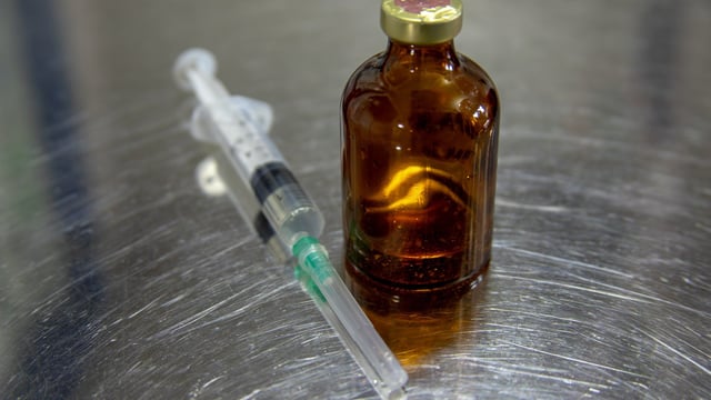 Illegal animal medicine seized at vet practice in the West Midlands