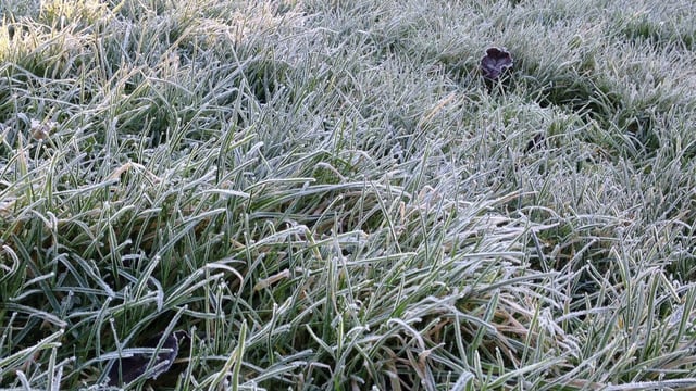Cold weather alert for central and southern England