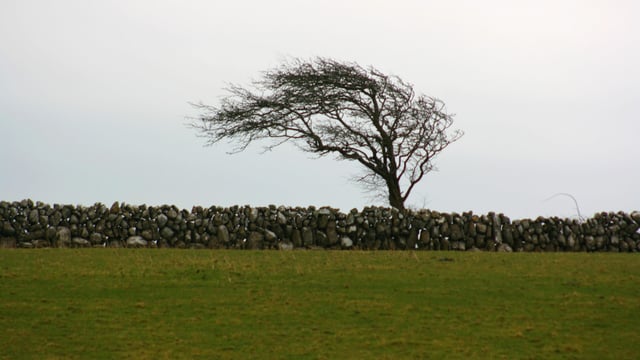Storm Otto to bring ‘high winds’ to the UK – Met Office