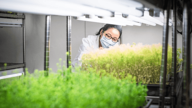 Genetic Technology Bill welcomed by CLA and NFU